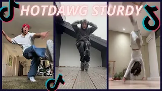 HOTDAWG STURDY 〰 new tiktok dance 💜🎵