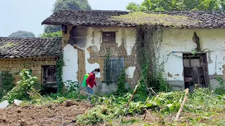 The old house surrounded by weeds has been renovated, Girl building a home for my father | Cleaning