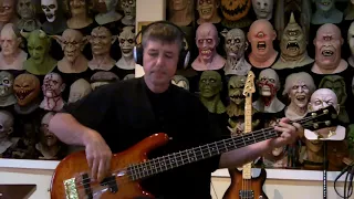 Peg Bass Cover