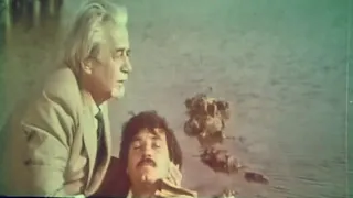 Sevinc buxtası (1977). Nazimin ölümü. Bəs. Polad Bülbüloğlu