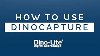 How to use DinoCapture 2.0 for Dino-Lite on Windows