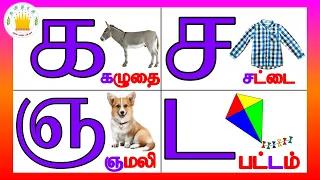 தமிழரசி- க ங ச(உயிர்மெய் எழுத்துக்கள்)|UyirMei Ezhuthukkal |Learn Tamil letters for kids|Tamilarasi