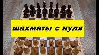 Как научиться играть в шахматы с нуля?