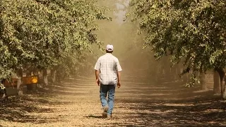 California’s Central Valley: ‘More Than Just Farmers on Tractors’ | KQED News