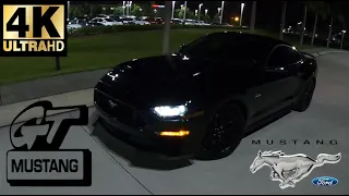 2020 Ford Mustang GT {Manual} | 4K 60FPS | POV | Night Test Drive