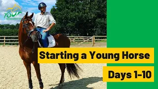 How I start young horses under saddle, Days 1-10