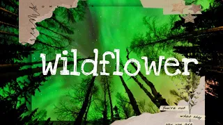 Wildflower by Arnel Pineda(Lyrics) from Wildflower Ost