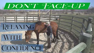 Horses Relaxing with Confidence. Why I do not use Face-Up methods. Horse Training