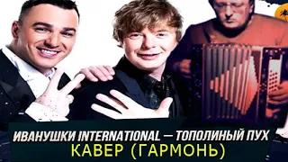 Иванушки International - Тополиный пух (кавер-версия, двухрядная гармонь)