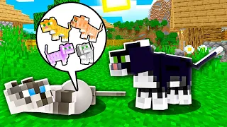 HOW CAT BORN BABY OCELOT!? Minecraft NOOB vs PRO! 100% TROLLING FAMILY KID CHILD KITTY PET BUILD