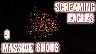SCREAMING EAGLES 9 SHOT 500 GRAM CAKE #4thofjuly #fireworks #pyro #pyroaddicts #demo