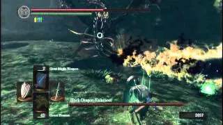 Dark Souls: Artorias of the Abyss Playthrough (13) Kalameet Death Montage