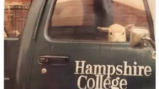 01 - Negativland - Christianity Is Stupid - Live Hampshire College 1989