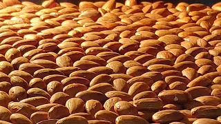 HOW TO ROAST ALMOND NUTS IN THE OVEN? ROASTED ALMOND NUTS @SHORTS LORELIES KITCHEN