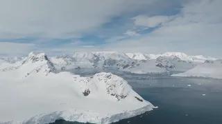 How surging demand for krill is raising concerns over Antarctica's future