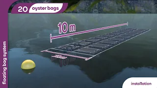 Floating Bags Oyster System - Intermas