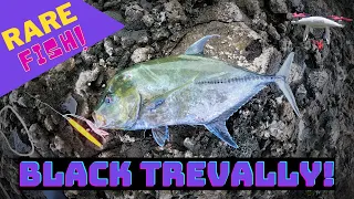 Homemade Jigs Catches RARE Fish in Hawaii! || Black Papio, Omilu and more! || Dronefishing in Hawaii