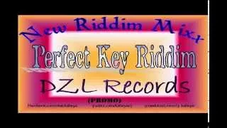 Perfect Key Riddim MIX[May 2012] - DZL Records