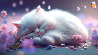 Дополнительная длинная музыка расслабления | Музыка против тревоги для кошек | Сонная кошка