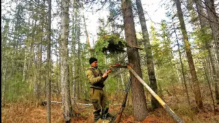 Сибирь.Открытие путиков в Тайге.