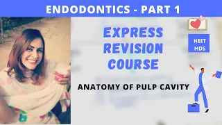 endodontics - root canal anatomy