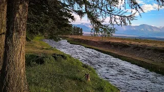 Горный Алтай. Курайская степь