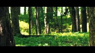 The Place Beyond The Pines - Official Trailer (2013) [HD]