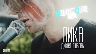 ПИКА — Дикая Любовь (Surf Motel Live Session) feat. The Denp