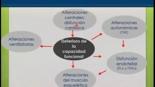 1 3 El paciente obeso y la función cardiovascular durante el ejercicio