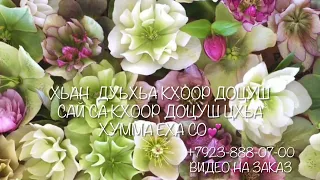 Дала декьал войла хьо йиши к1ант💓(озвучка)