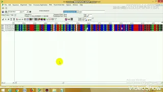 How to work with BioEdit sequence alignment editor