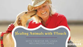 Intro to Tellington Touch TTouch with creator, Dr  Linda Tellington Jones + Sama Dog's Amanda Ree