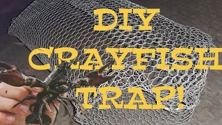 How to build your own Crayfish Trap!