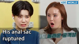 His anal sac ruptured [Dogs are incredible : EP.132-4] | KBS WORLD TV 220726