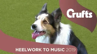 Can your dog do this? Heelwork To Music Part 1 | Crufts 2019
