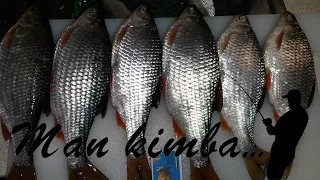Man kimba - Kuojų žvejyba Mingėje