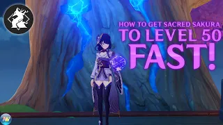 How to get to Level 50 FAST on the Sacred Sakura!