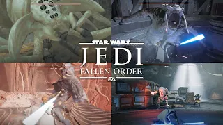 필드 보스전 모음  |  Jedi - Fallen Older