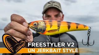 Freestyler de Savage Gear : pour les brochets difficiles !