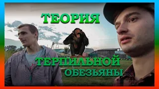 Теория терпильной обезьяны (Разговоры со Степаном)