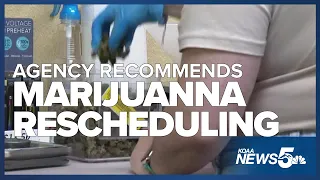 US health agency recommends marijuana for rescheduling