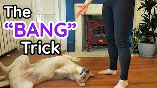 Train Your Dog to Do the "Bang" Trick