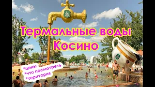 Видео обзор (цены, территория, условия) термальные купальни бассейны термальные воды Косино 2021