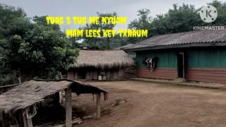 Tuag 3 tug me nyuam mam lees kev txhaum 21-5-2024