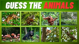 GUESS THE ANIMALS | 25 EXCITING QUIZZES