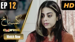 Pakistani Drama | Gustakh - Episode 12 | Faryal Mehmood, Faysal Quraishi | I51O | Express TV Dramas