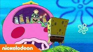 Губка Боб Квадратные Штаны | 2 сезон 10 серия | Nickelodeon Россия