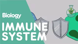 The Immune System | Health | Biology | FuseSchool