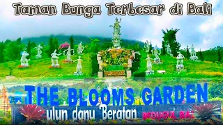 Wisata Taman Bunga Terbesar di Bali !! The Blooms Garden Bedugul Bali