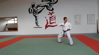 Rohai Shito Ryu